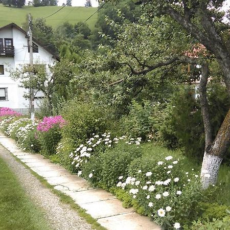 Pensiunea Iulia Bran  Exterior photo